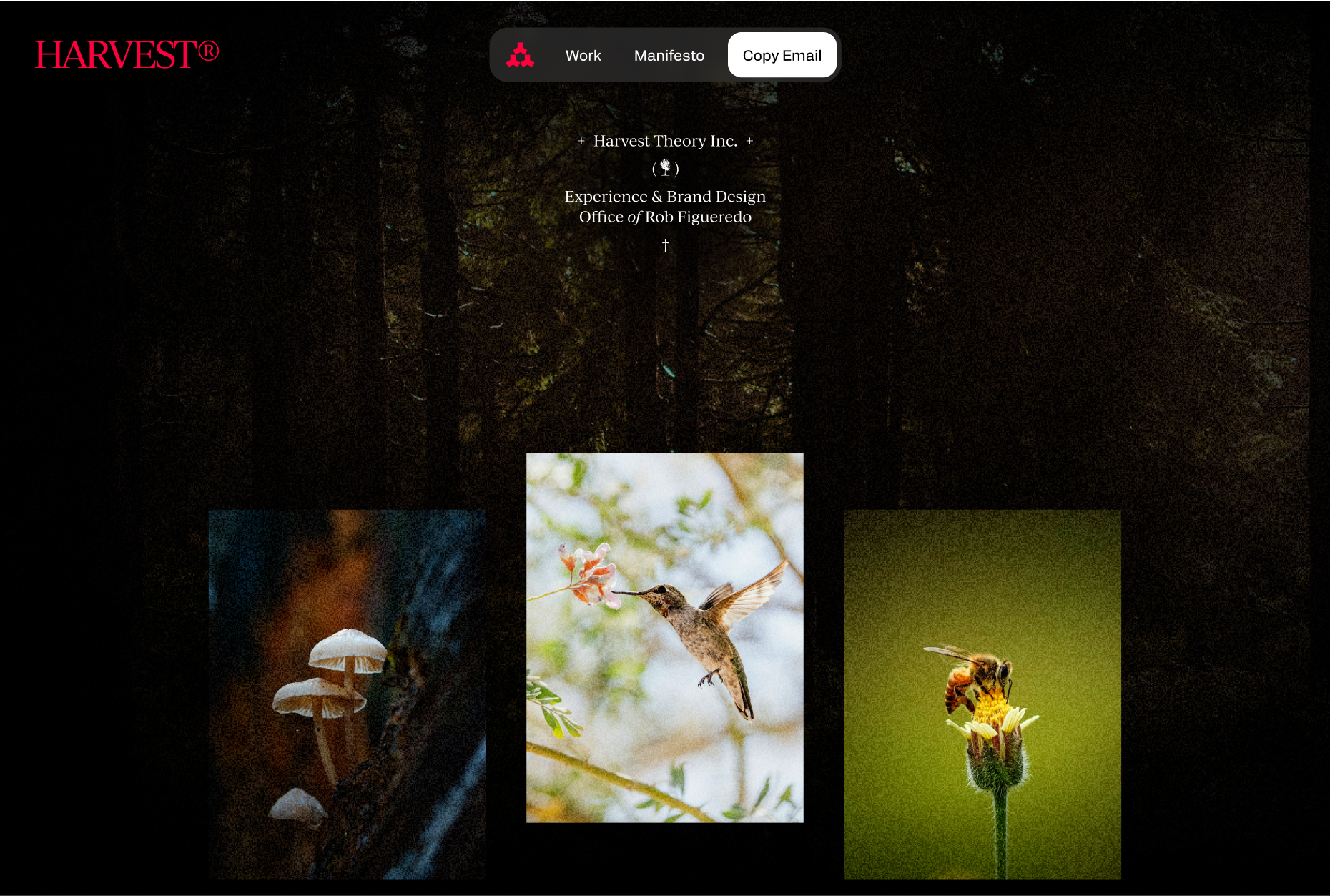 Harvest Theory Inc. homepage with nature photography