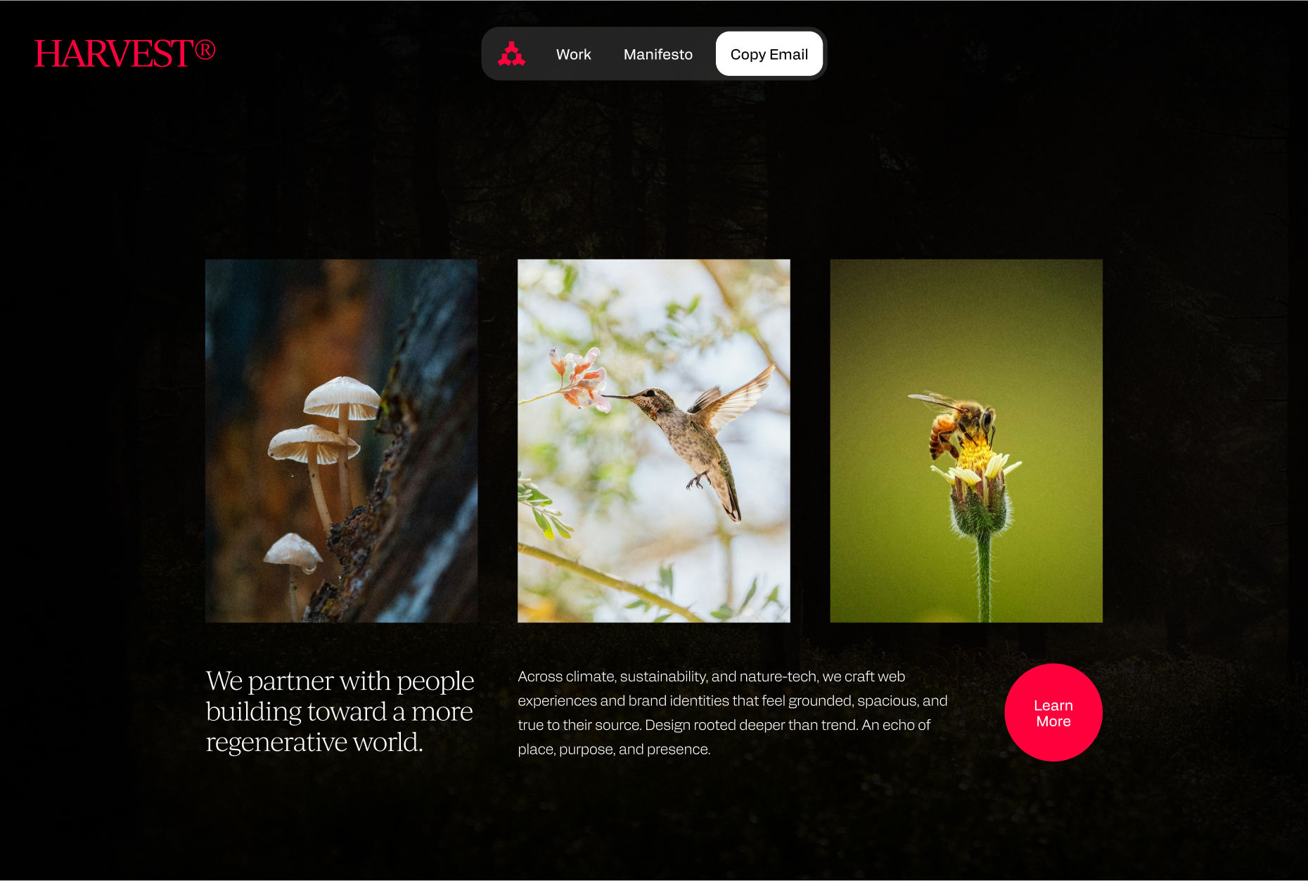 Harvest Theory Inc. manifesto page